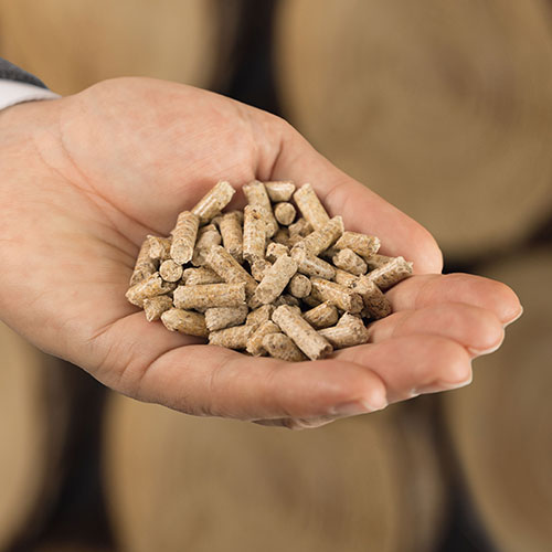 Heizung Pellets